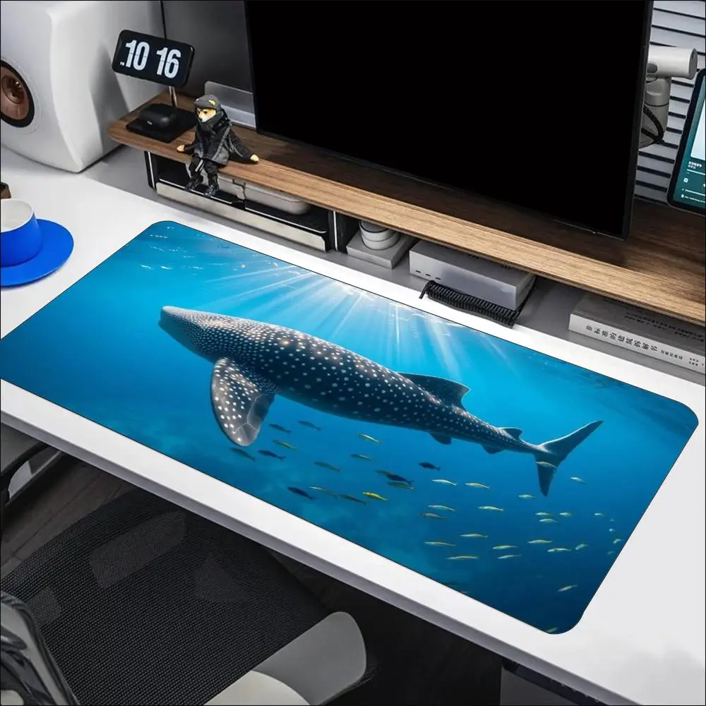 لوحة ماوس كبيرة للألعاب بتصميم - مراجعة Desk Setup Pc And Laptop وسعره